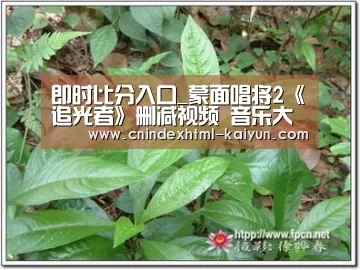 即时比分入口_蒙面唱将2《追光者》删减视频 音乐大匠揭面是汪苏泷?(图3) kaiyun官网首页