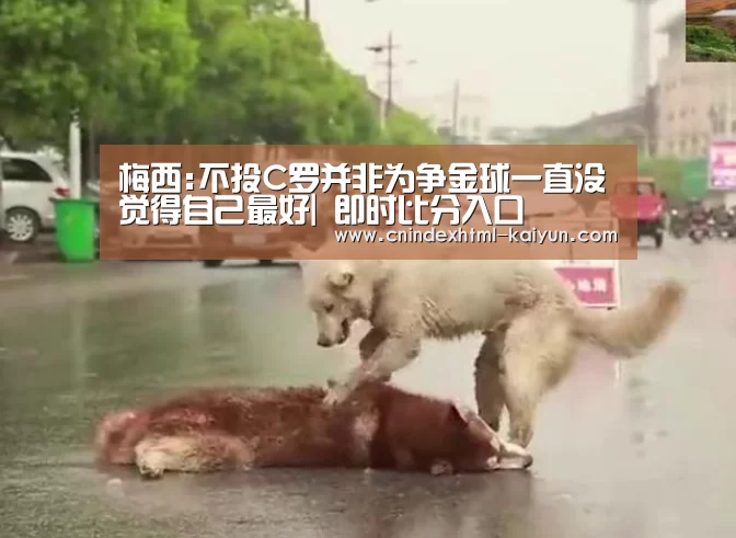  即时比分入口