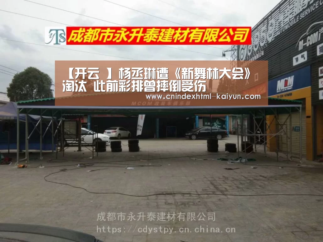 【开云 】杨丞琳遭《新舞林大会》淘汰 此前彩排曾摔倒受伤(图2) kaiyun官网首页